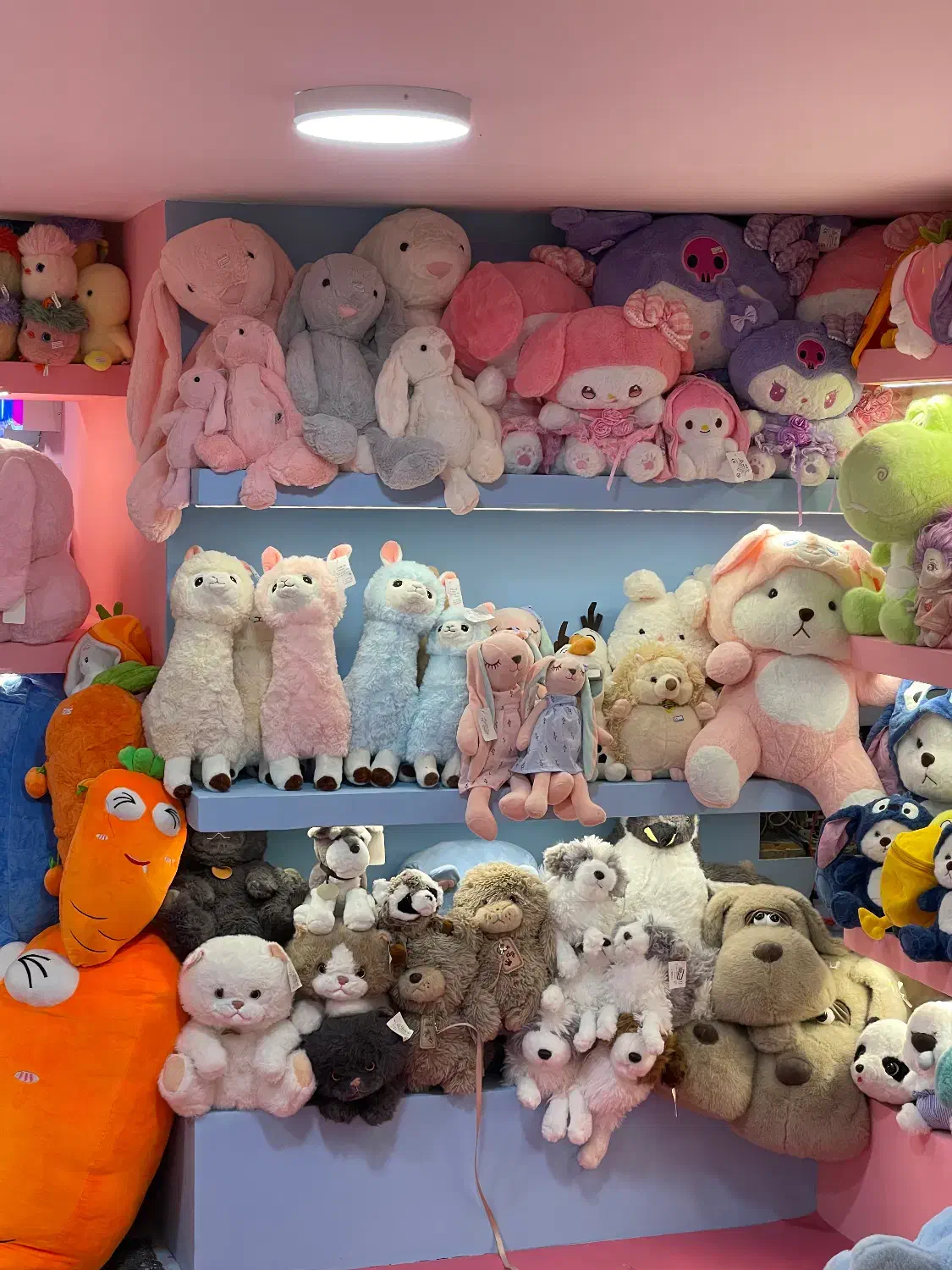 عروسک پولیشی وارداتی به قیمت عمده|اسباببازی|قزوین, |دیوار