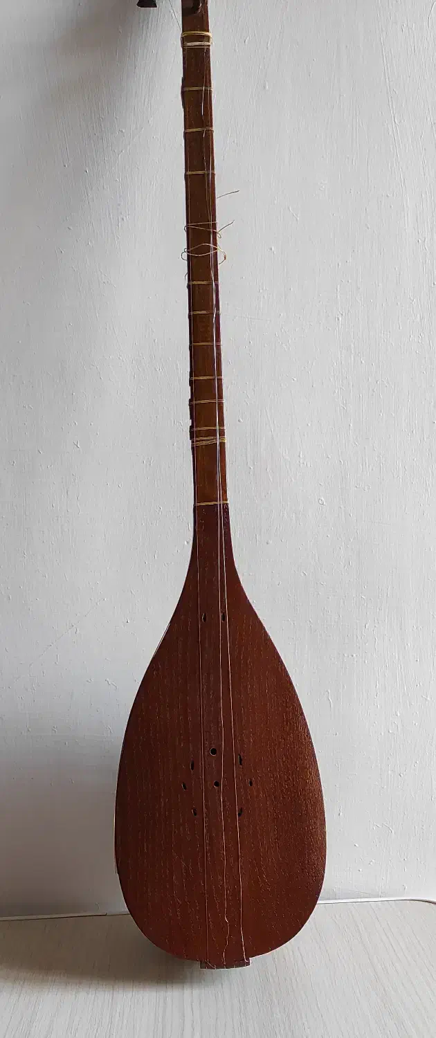 تنبور کرمانشاهی|سازهای سنتی|سنندج, |دیوار