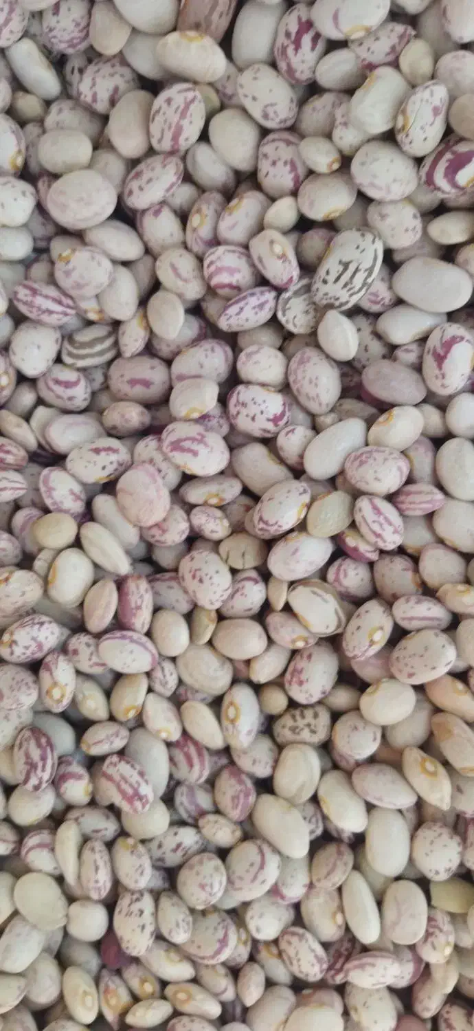 حبوبات|خوردنی و آشامیدنی|اصفهان, لیمجیر|دیوار