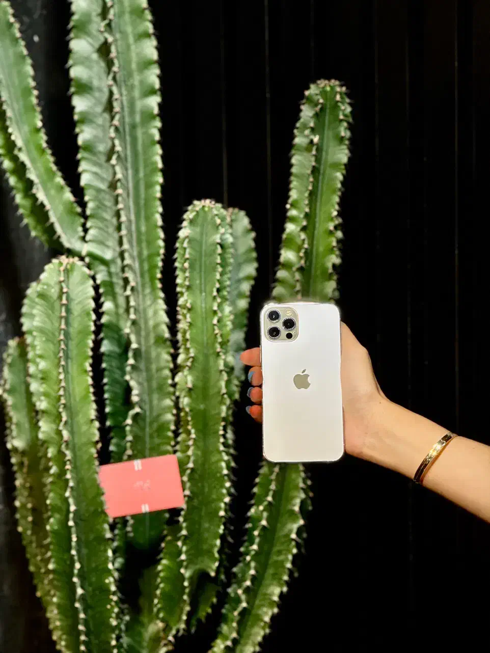 آیفون با خرید آسان/نقد و اقساط بدون نیاز به ضامن|موبایل|تهران, گیشا|دیوار