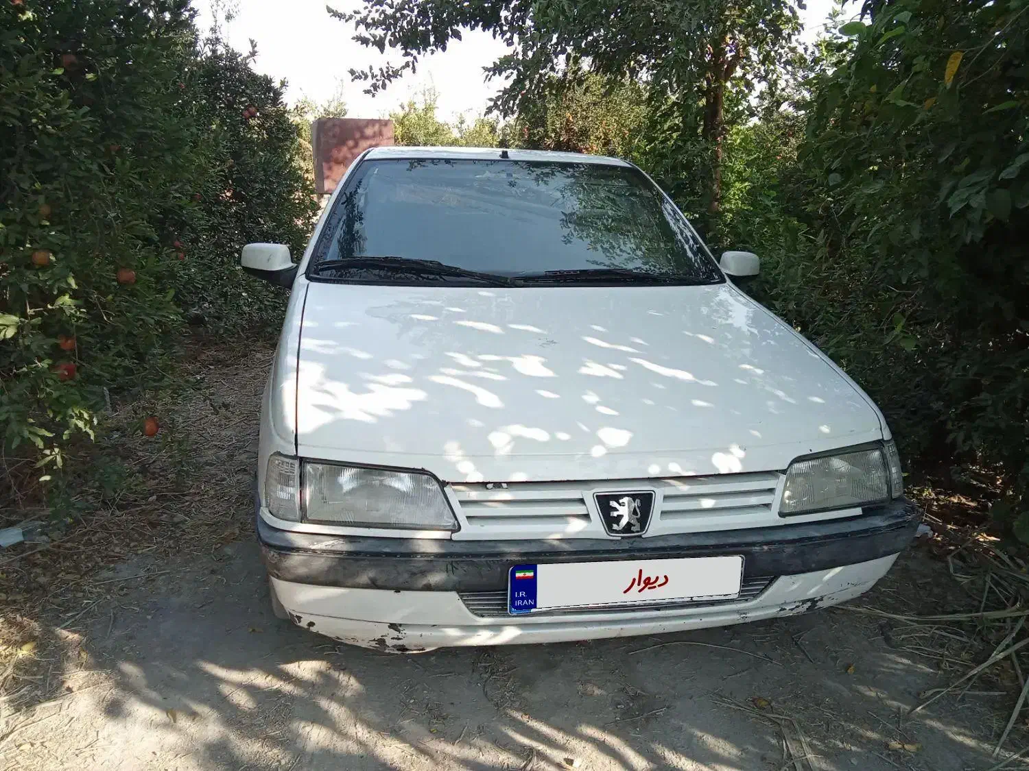 پژو ۲۰۰۰ رنگ سفید مدل ۷۳ بکر|خودرو سواری و وانت|کوه چنار, |دیوار