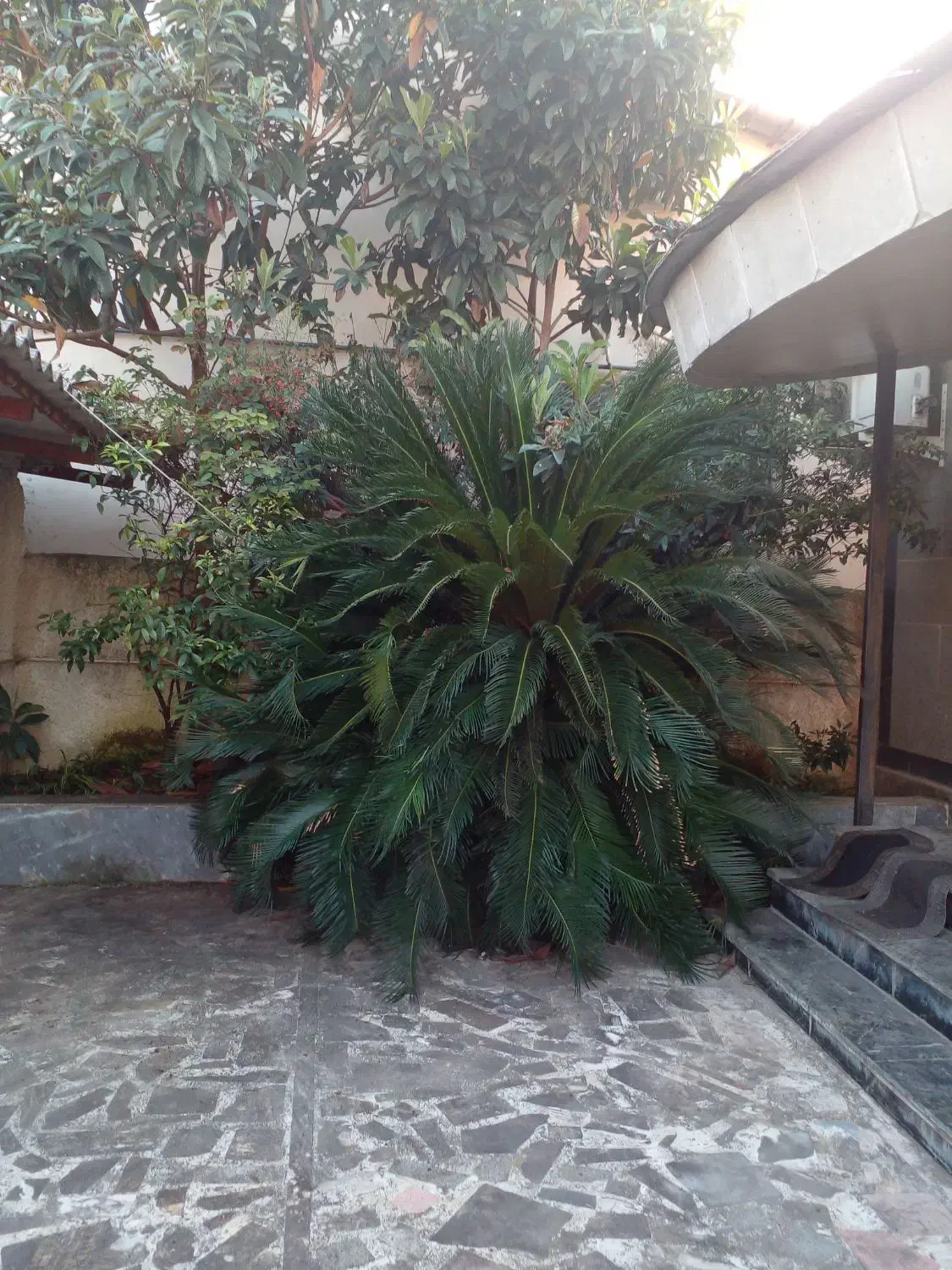 باغ در هشتگرد ۱۱۰۰ متر وتهاتر باساختمان وپول|فروش خانه و ویلا|هشتگرد, هشتگرد قدیم|دیوار