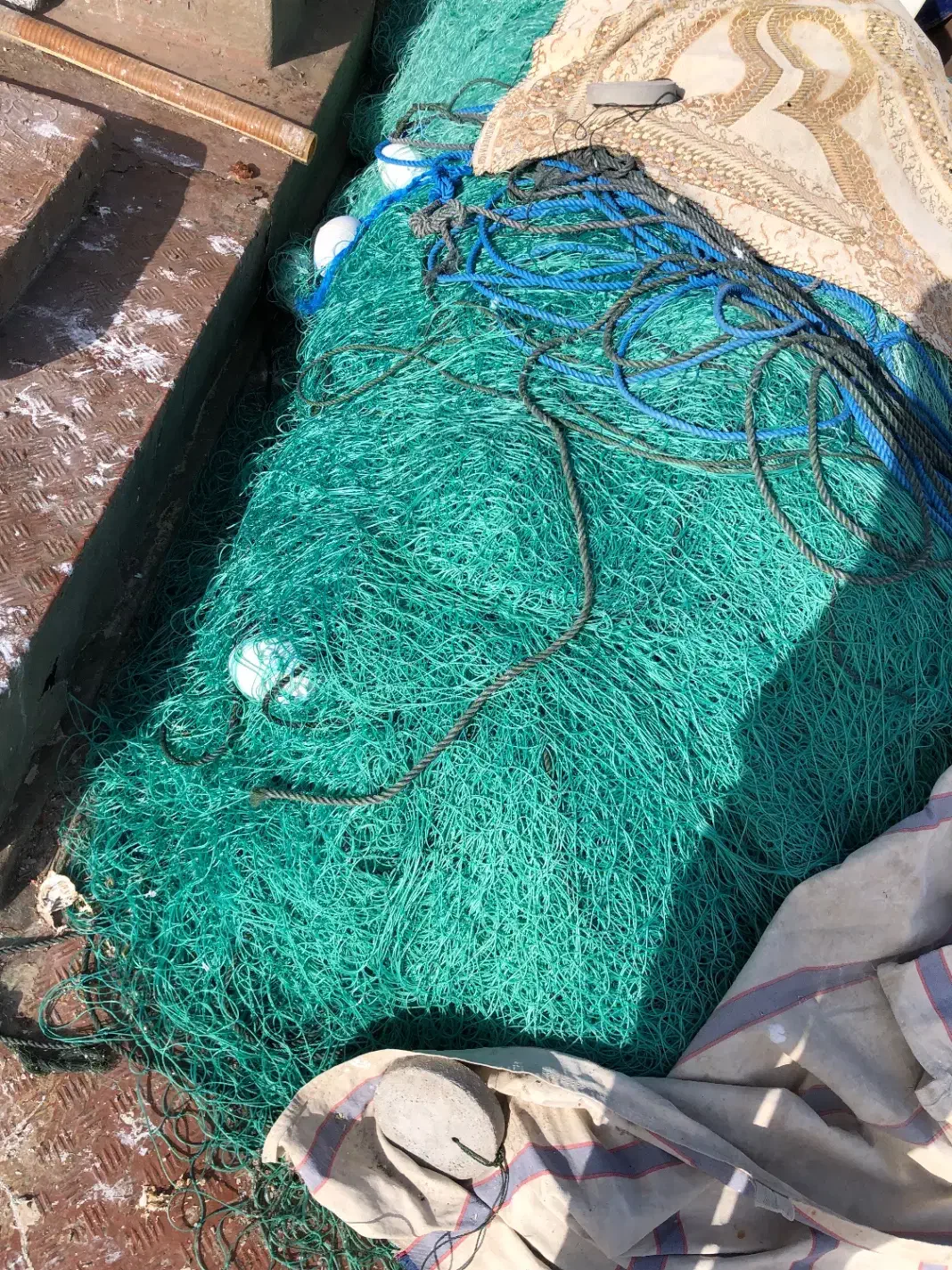 تور شیری ۱۰۰ چشم|ماهیگیری|بوشهر, |دیوار