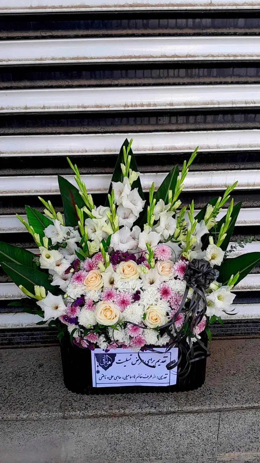 تاج گل|گل و گیاه طبیعی|گلپایگان, |دیوار