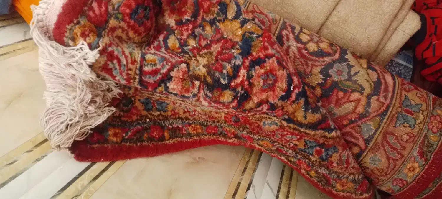 قالی کرمانی دسته دوم|فرش|رفسنجان, |دیوار