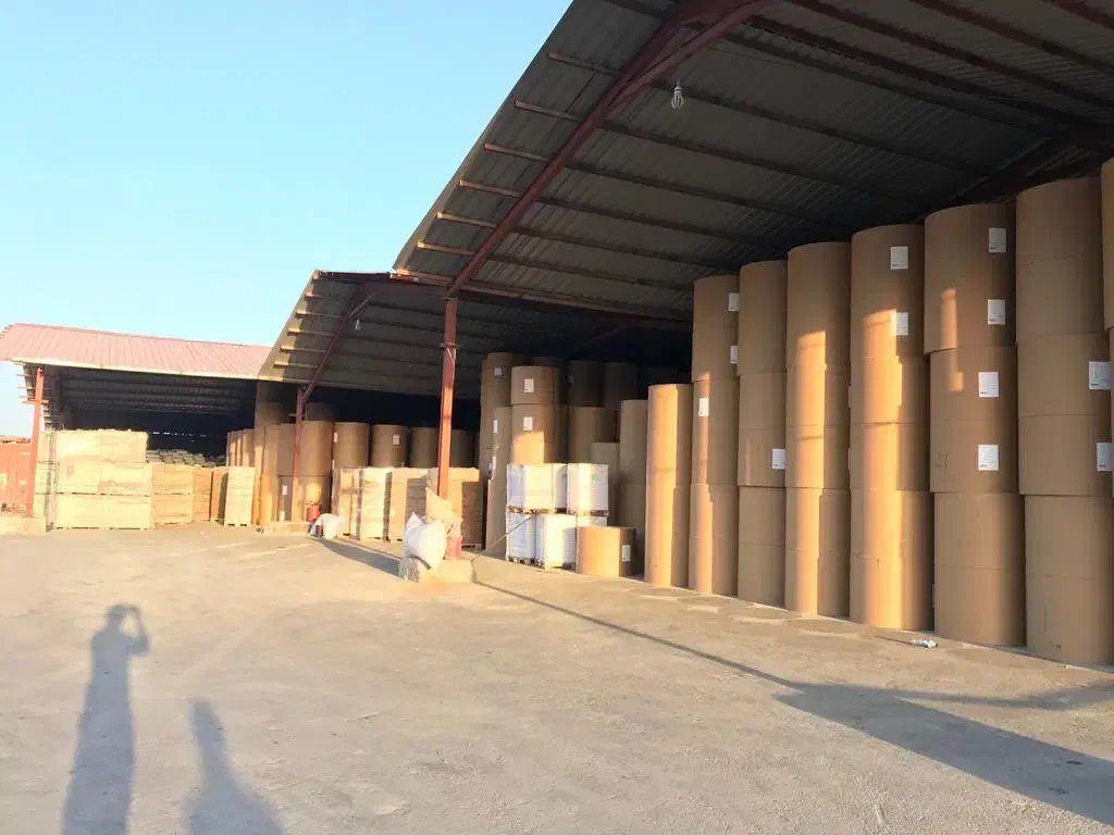 خدمات استیریپ و استافینگ(تخلیه بارگیری کالا تجاری)|خدمات حمل و نقل|بندرعباس, |دیوار