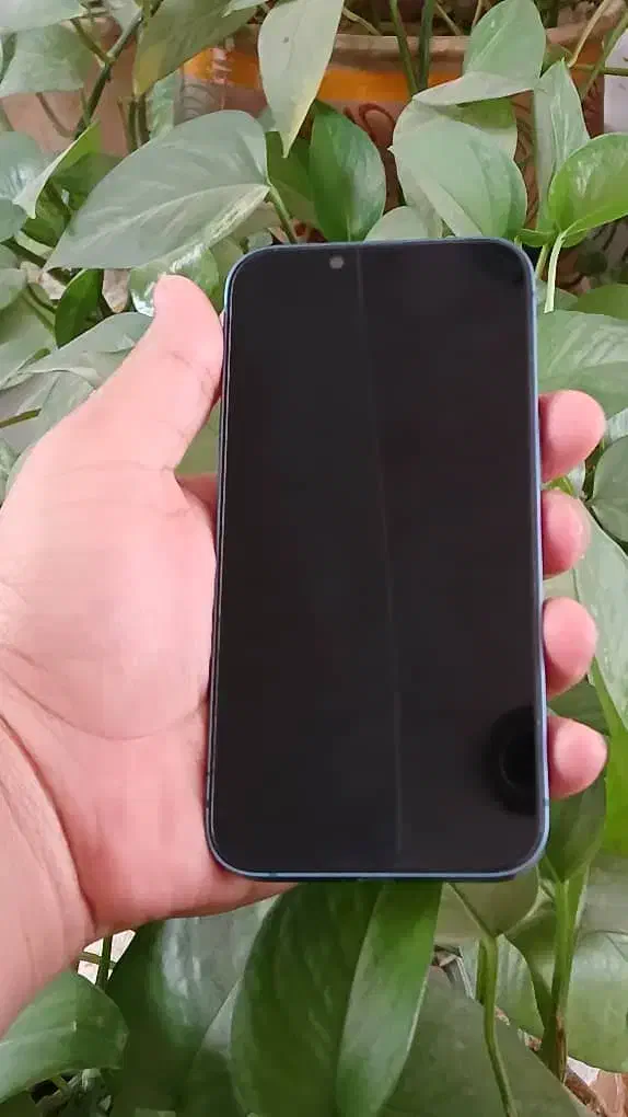 آیفون 13 نرمال ch|موبایل|کرمان, |دیوار