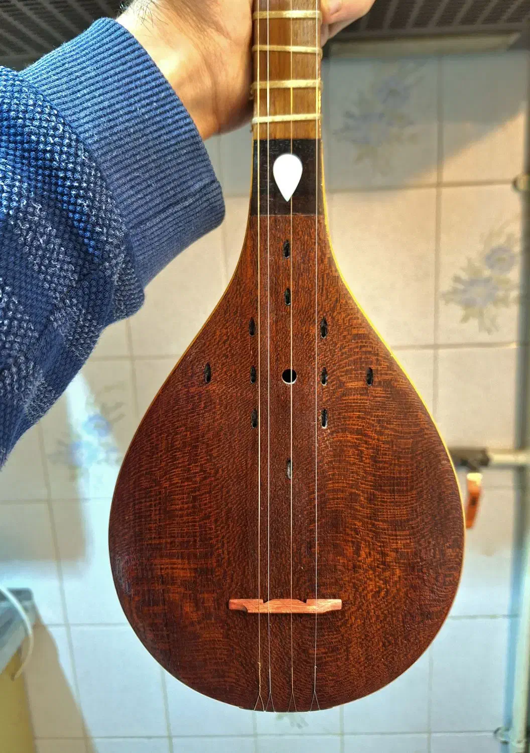 سه تار محمدی الگو عشقی|سازهای سنتی|تهران, پردیسان|دیوار