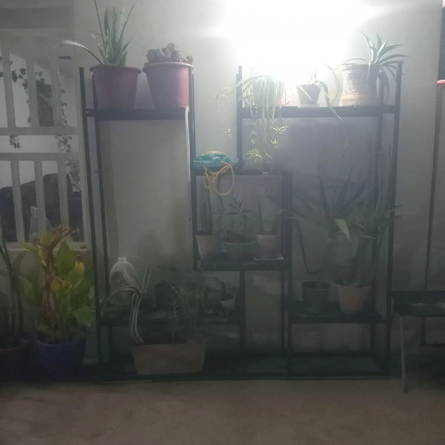 فروش استند گل اهنی|گل و گیاه طبیعی|شیراز, شهرک قمشه|دیوار