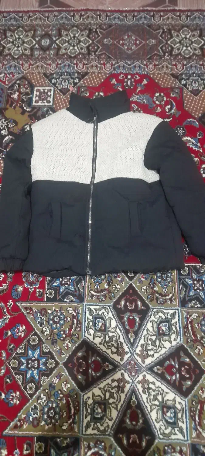 کاپشن دخترانه|لباس|اردبیل, |دیوار