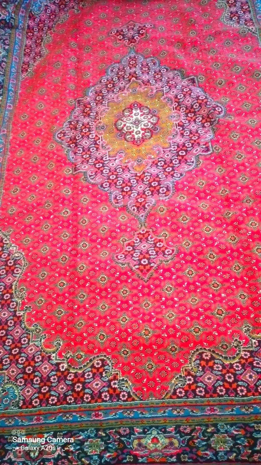 فرش ۶متری سالم|فرش|اردبیل, |دیوار