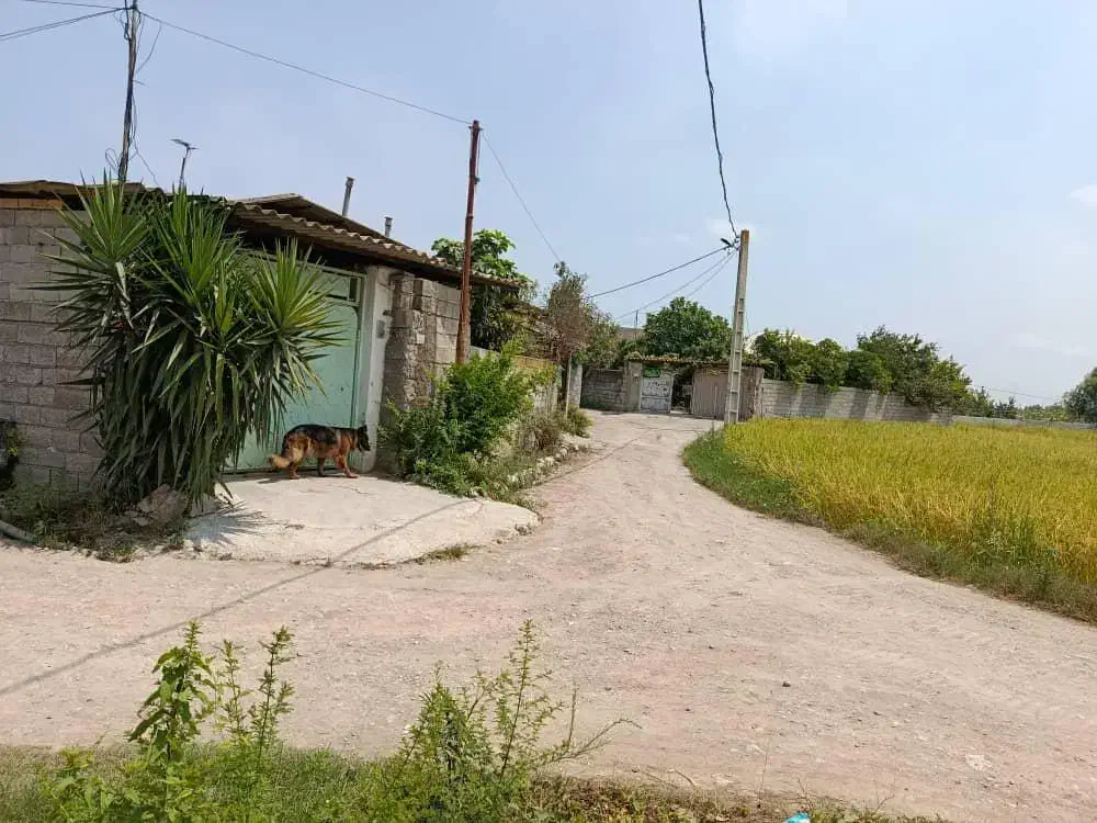 ویلا باغ ۳۳۰متری بافت   دابودشت|فروش خانه و ویلا|دابودشت, |دیوار