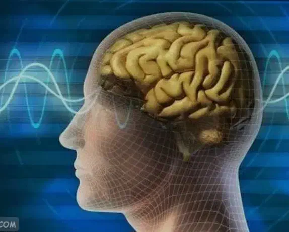 آموزش معامله گری بدون تحلیل|خدمات آموزشی|کرمان, |دیوار