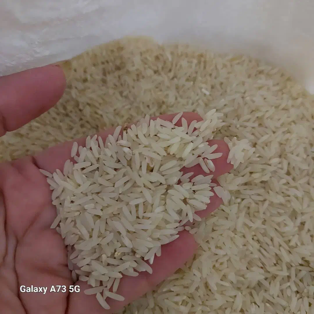 برنج اعلا فریدونکنار|خوردنی و آشامیدنی|نوشهر, |دیوار