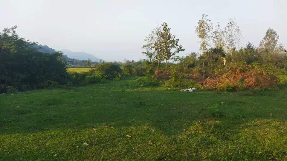 معاوضه زمین جاده ماسوله با خونه|فروش زمین و ملک کلنگی|ماکلوان, |دیوار