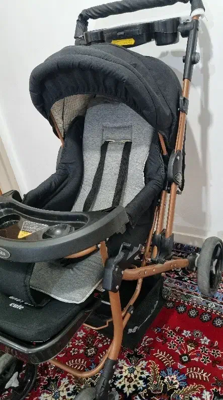 کالسکه دلیجان|کالسکه و لوازم جانبی|اردبیل, |دیوار