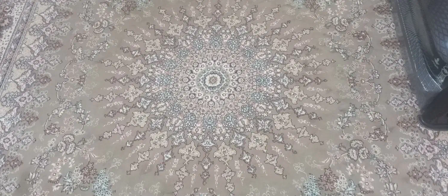 دو عدد فرش تمیز بدون پارکی|فرش|تربتحیدریه, پائین ولایت|دیوار