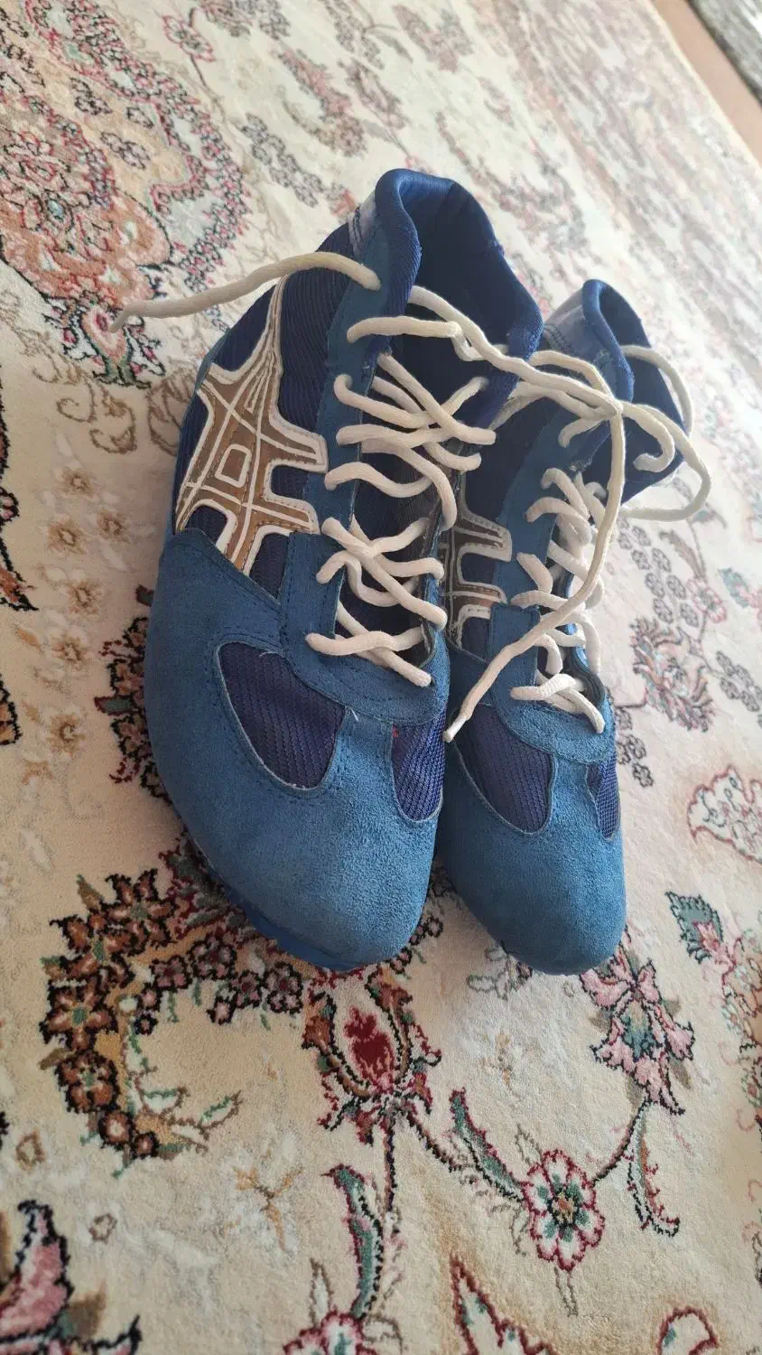 کفش کشتی در حد نو|کیف، کفش، کمربند|سلماس, |دیوار