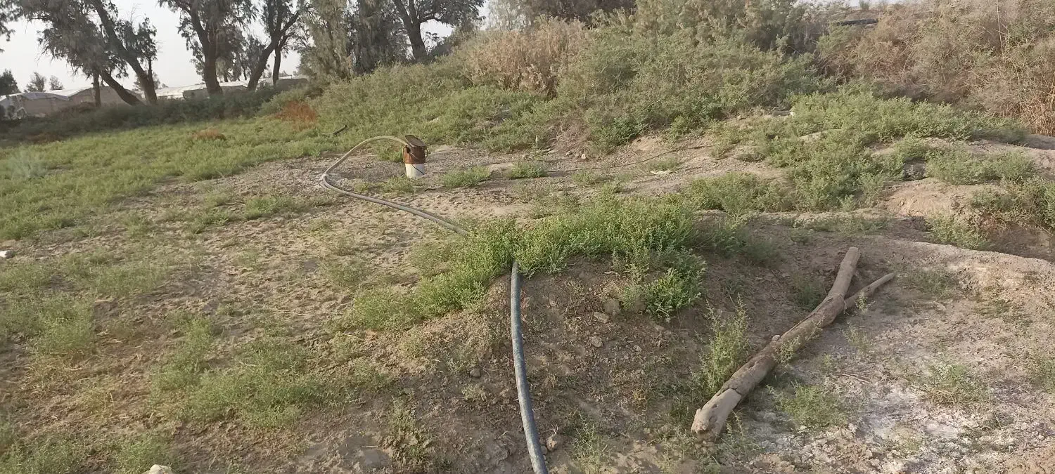 زمین کشاورزی باتمام امکانات|اجارهٔ دفتر صنعتی، کشاورزی، تجاری|نیمروز, |دیوار