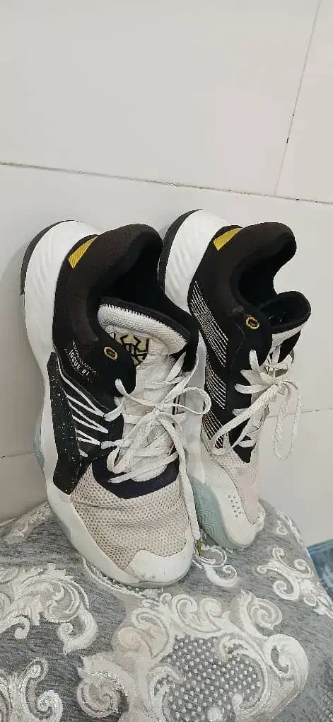 کفش های والیبال و بسکتبال سایز بزرگ اورجینال|کیف، کفش، کمربند|یزد, |دیوار