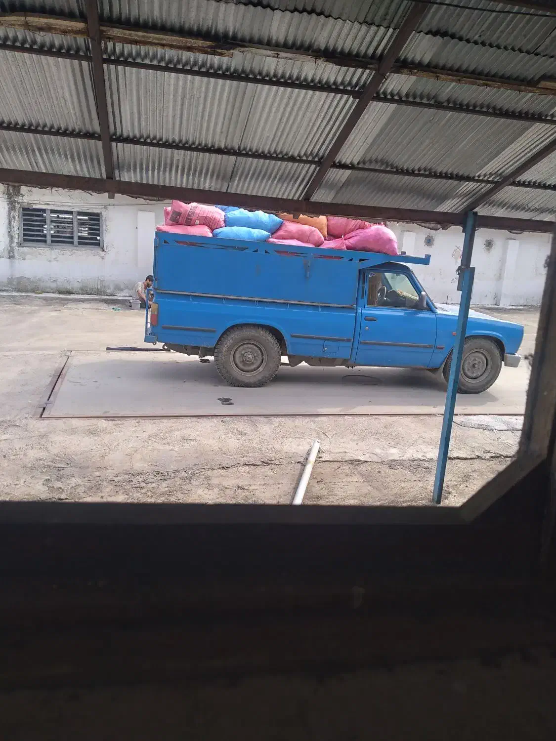 کود مرغی|خدمات باغبانی و درختکاری|رشت, اسماعیل آباد|دیوار