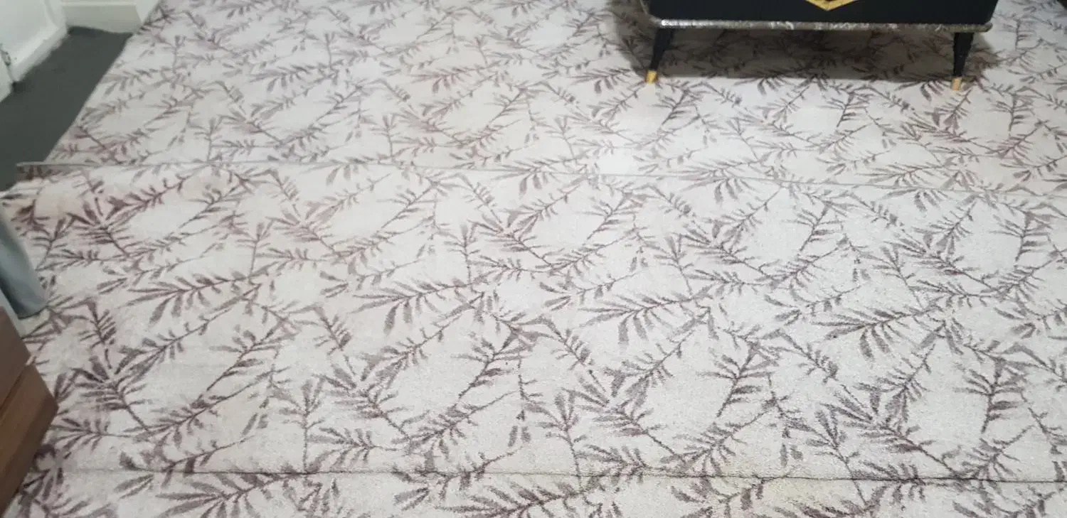 موکت۴×۳|موکت|همدان, |دیوار