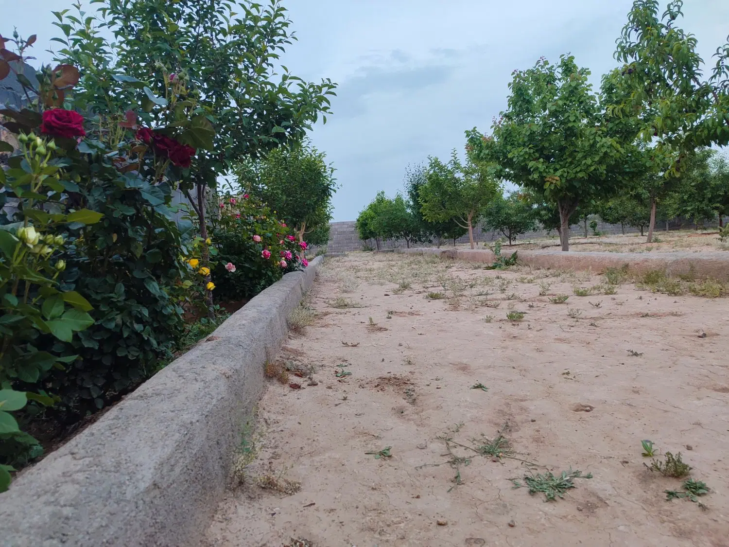 تصویر 2