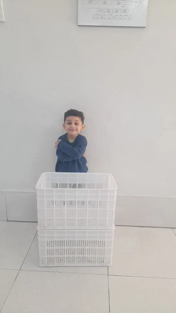 فروش و حراج سبد 20 کیلویی|عمده‌فروشی|ری, جوانمرد قصاب|دیوار