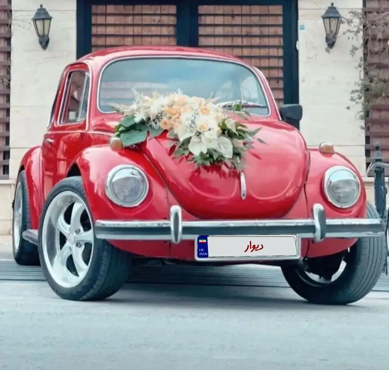 اجاره فولکس بیتل قورباغه ای برای مراسمات عروسی|خودرو اجاره‌ای|کرمان, |دیوار