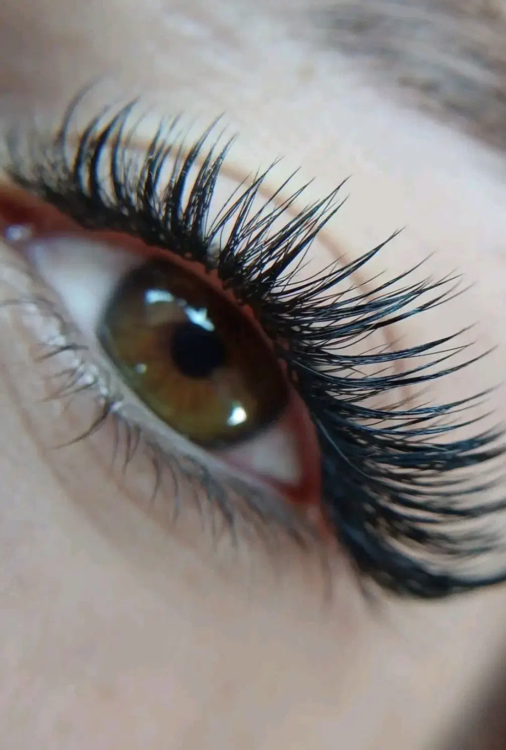 آموزشگاه ، آموزش و مدرک فنی و حرفه ای معتبر|خدمات آموزشی|هشتگرد, شهرک ولیعصر (مصلی)|دیوار