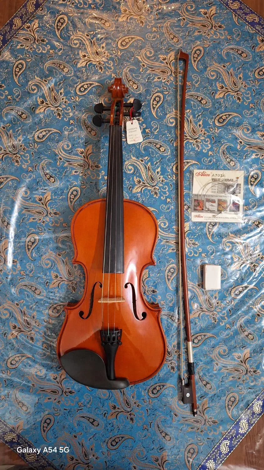 ویالون  MORETTI|ویولن|تهران, هروی|دیوار