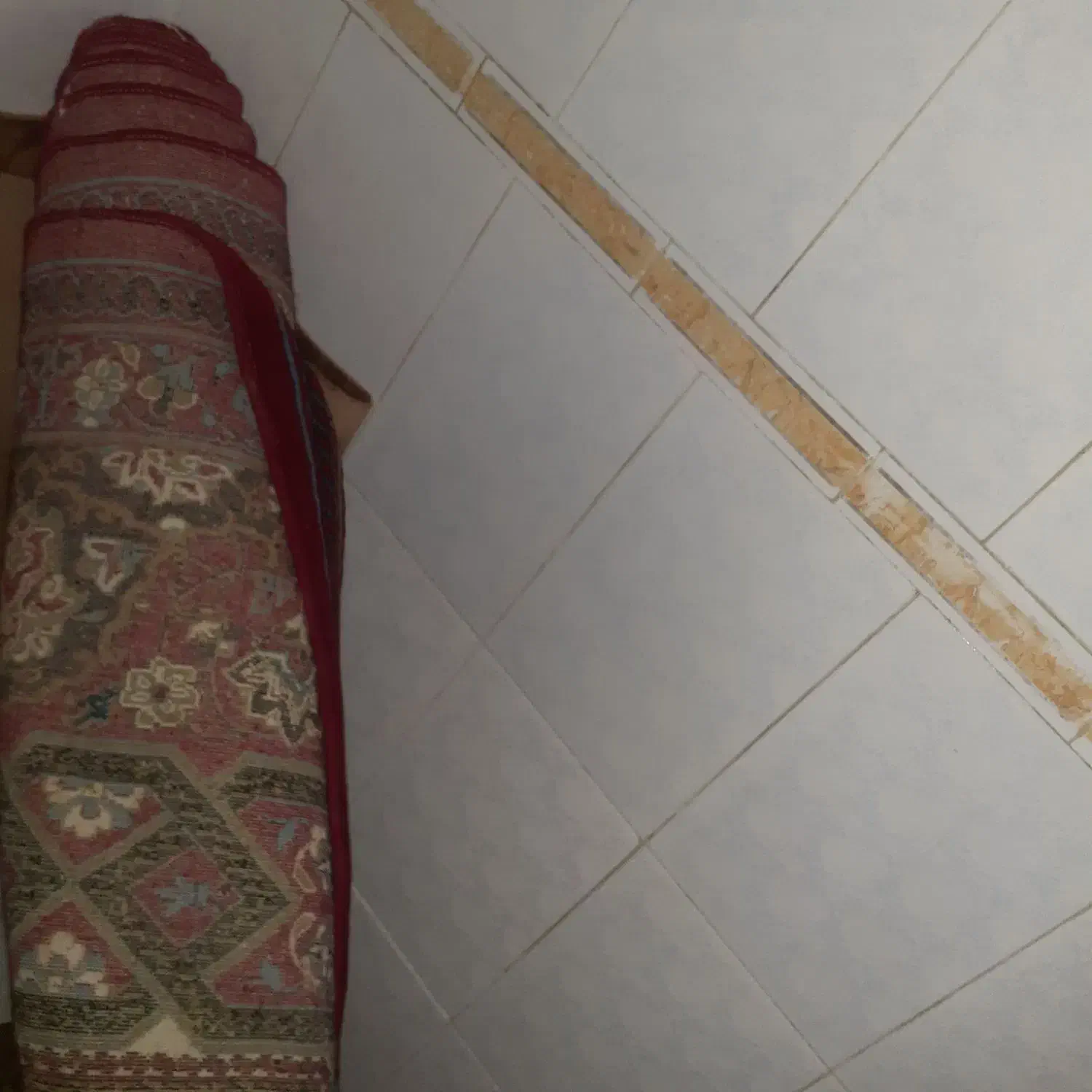 فرش ماشینی ۱۲ متری|فرش|نوشهر, |دیوار