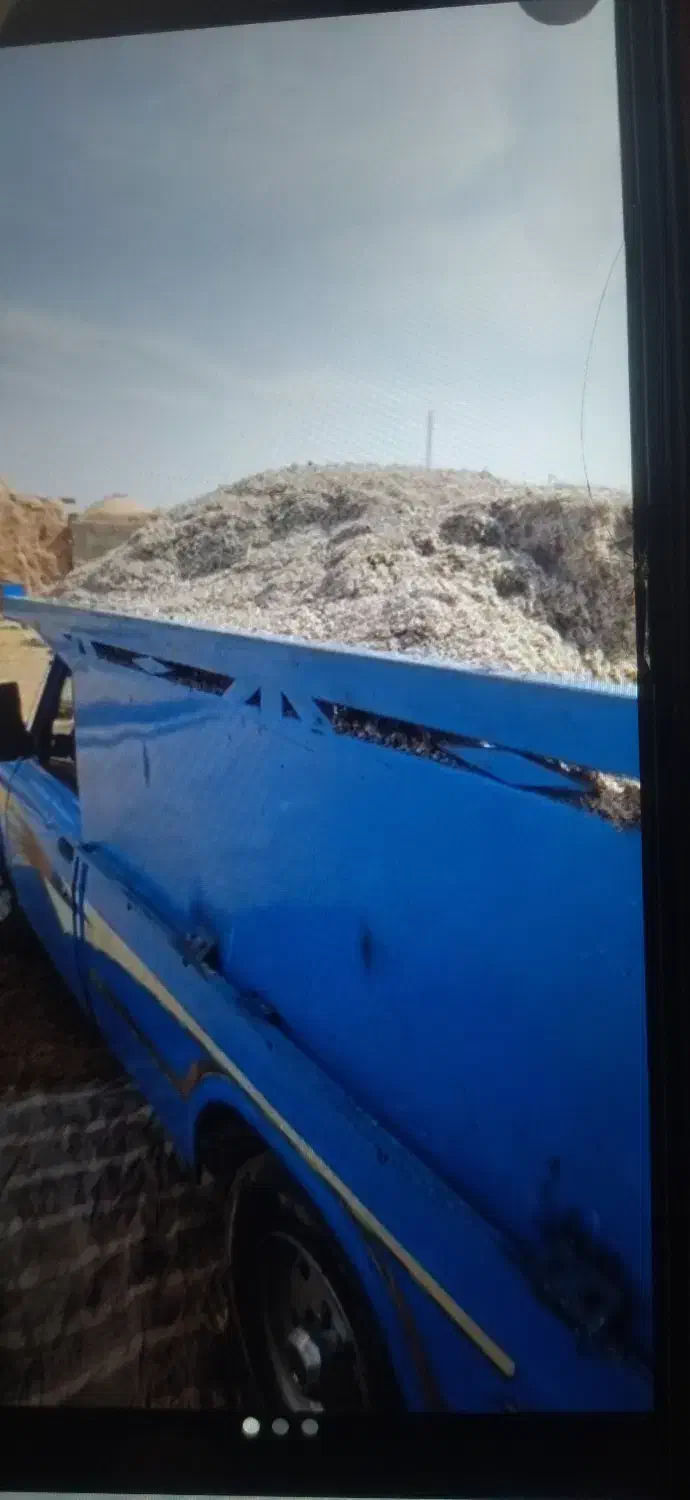 چقندر|عمدهفروشی|باخزر, |دیوار