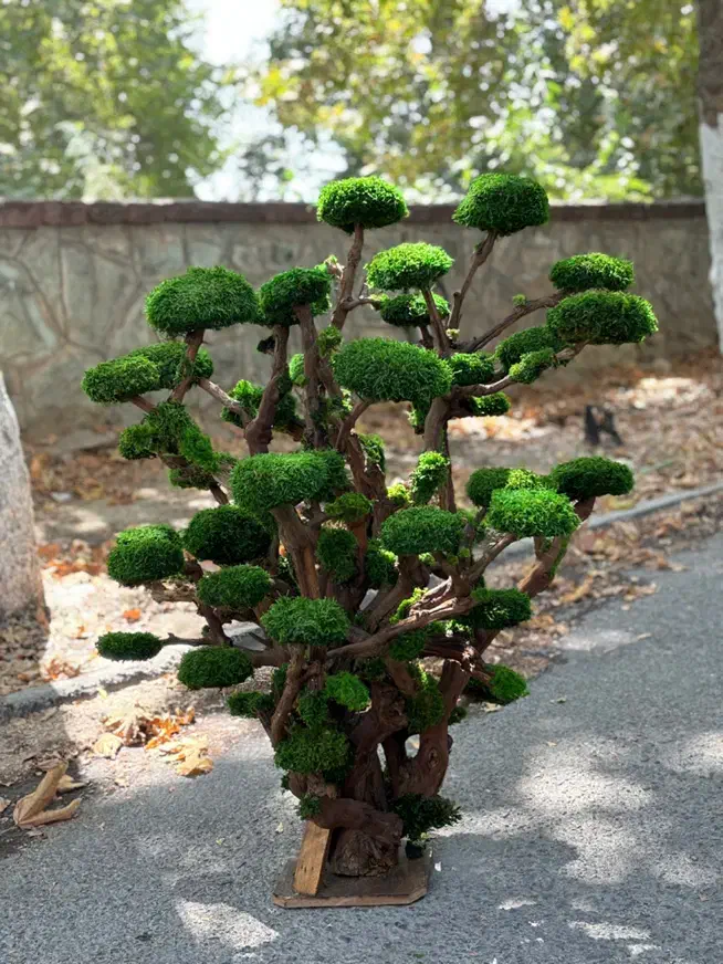 نیروی تولید گیفت های خزه ای|استخدام صنعتی، فنی، مهندسی|تهران, جماران (نیاوران)|دیوار