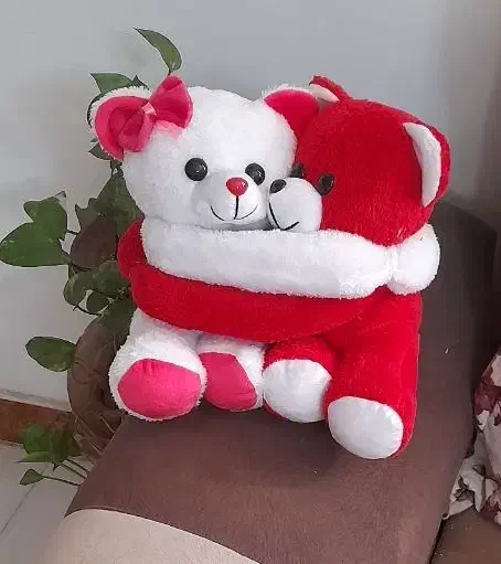 عروسک‌های زیبای سیمرغ|اسباب‌‌بازی|بابل, |دیوار