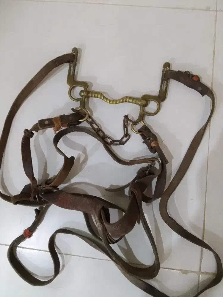 زین بغدادی قدیمت قدمت ۱۰۰سال|اسب و تجهیزات اسب‌سواری|درگز, |دیوار