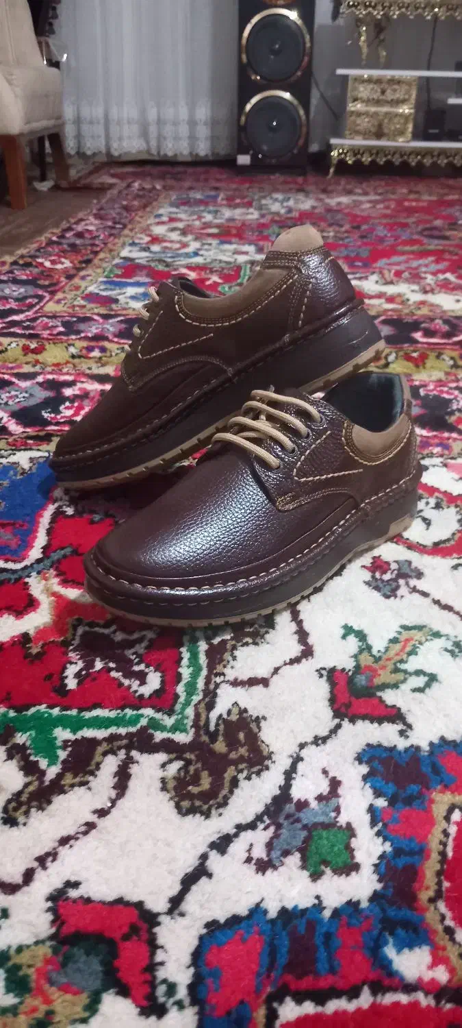 دوجفت کفش مردانه|کیف، کفش، کمربند|تبریز, |دیوار