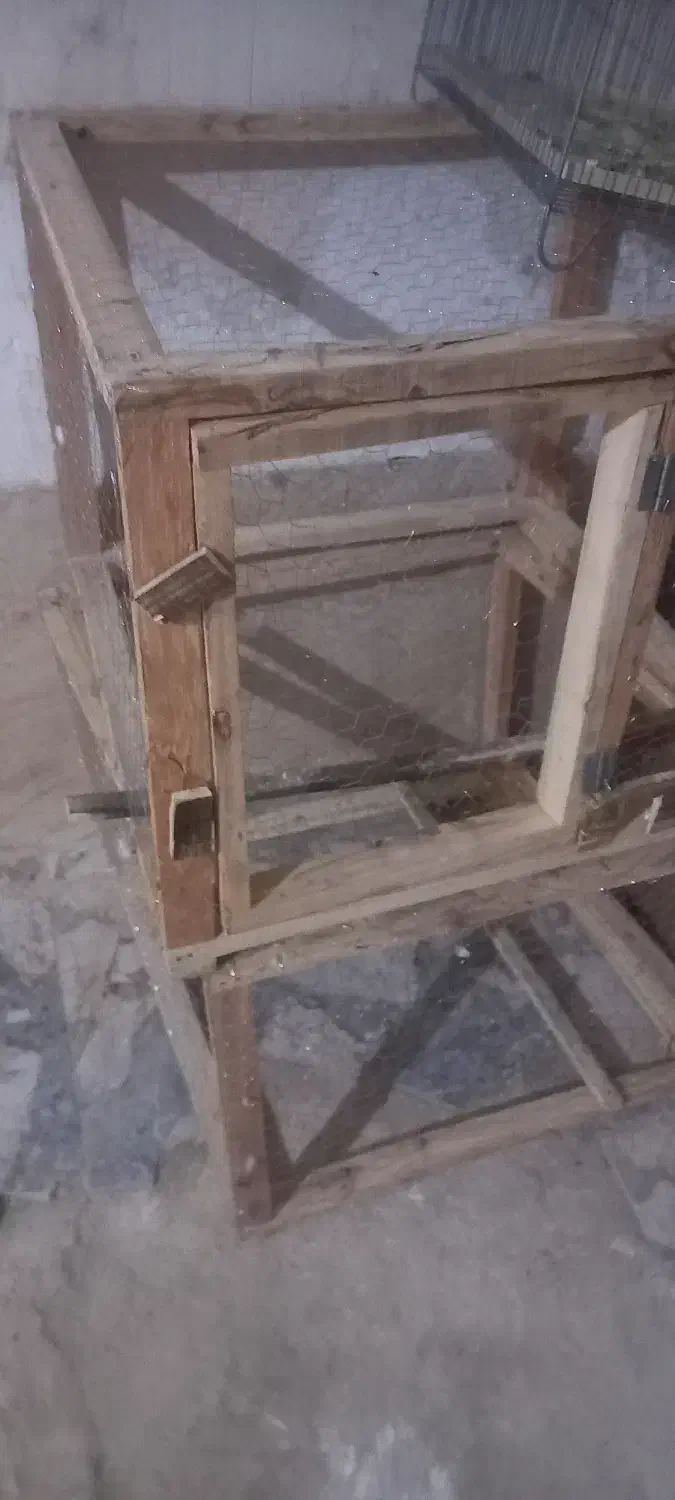 قفس کبوتر مرغ|لوازم جانبی حیوانات|دهگلان, |دیوار