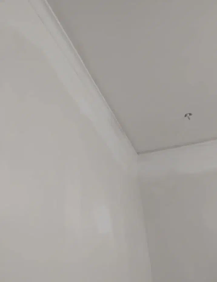 سفیدکاری و لکه گیری ، گچ کاری|خدمات پیشه و مهارت|اهواز, عین ۲|دیوار