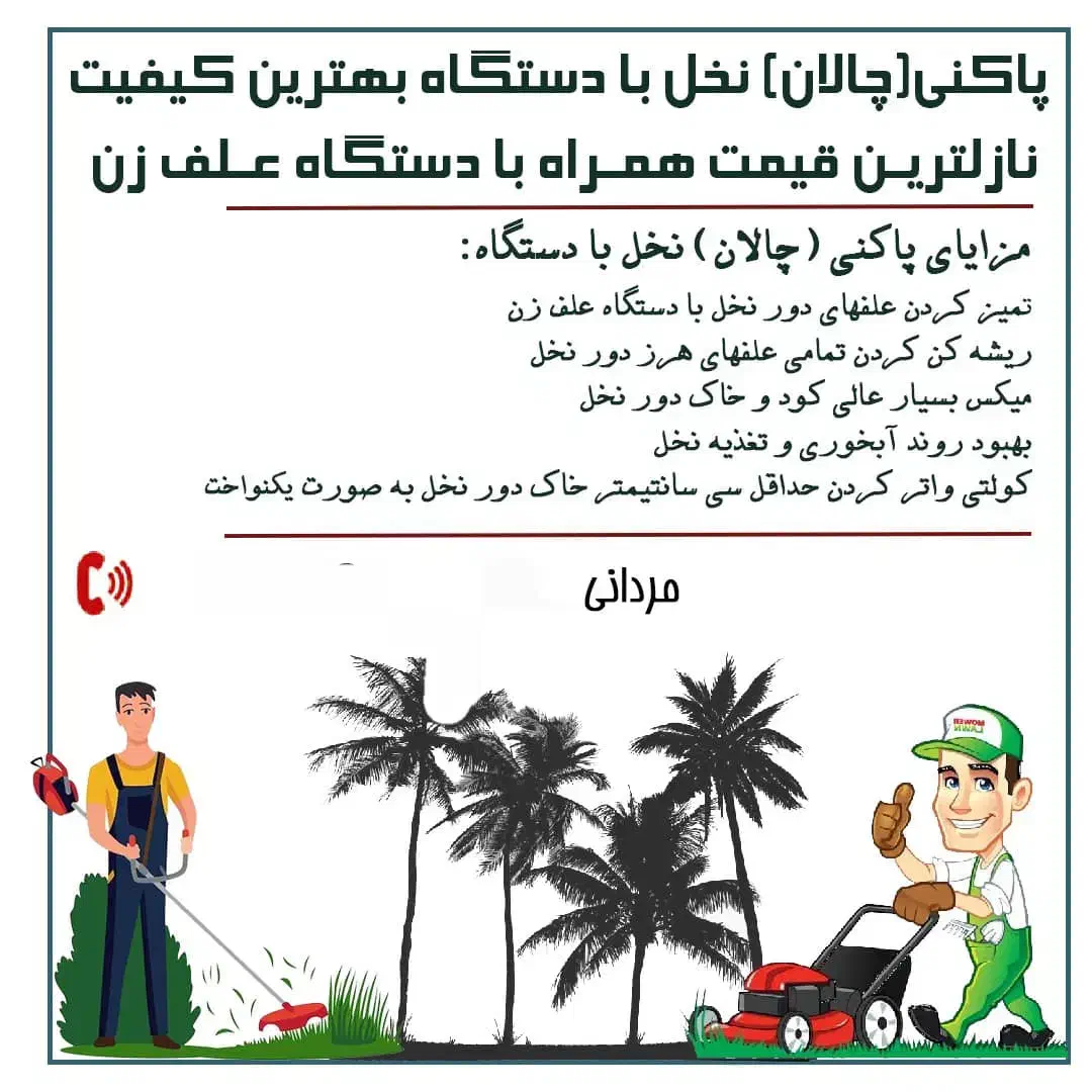 پاکنی(چالان)نخل با دستگاه|خدمات باغبانی و درختکاری|جم, |دیوار