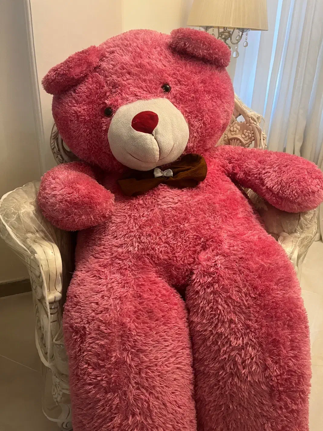 عروسک|اسباب‌بازی بچه|ری, اقدسیه|دیوار