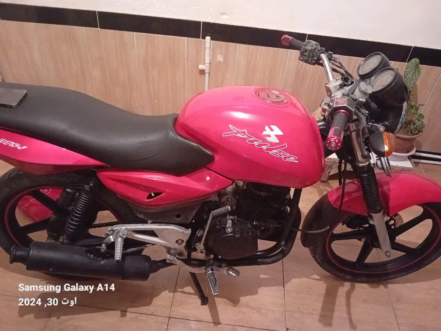 پالس ۱۵۰ مزایده|موتورسیکلت|بوکان, |دیوار