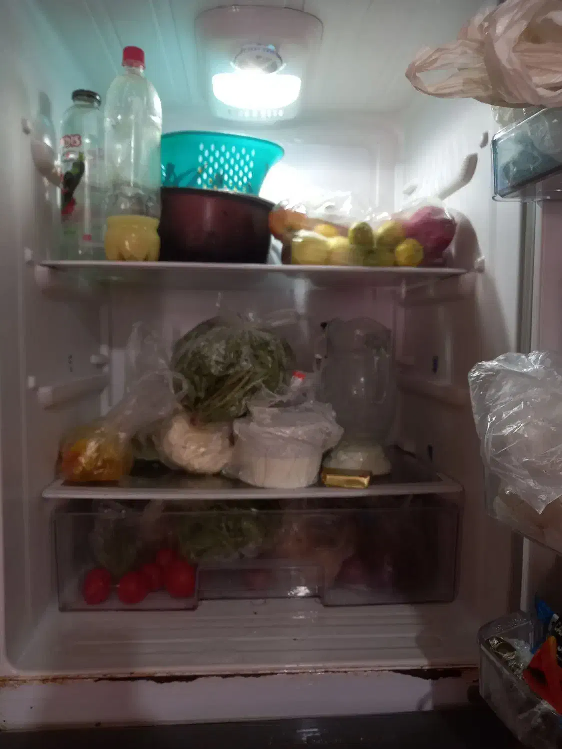 یخچال|یخچال و فریزر|اهواز, کوی علوی|دیوار