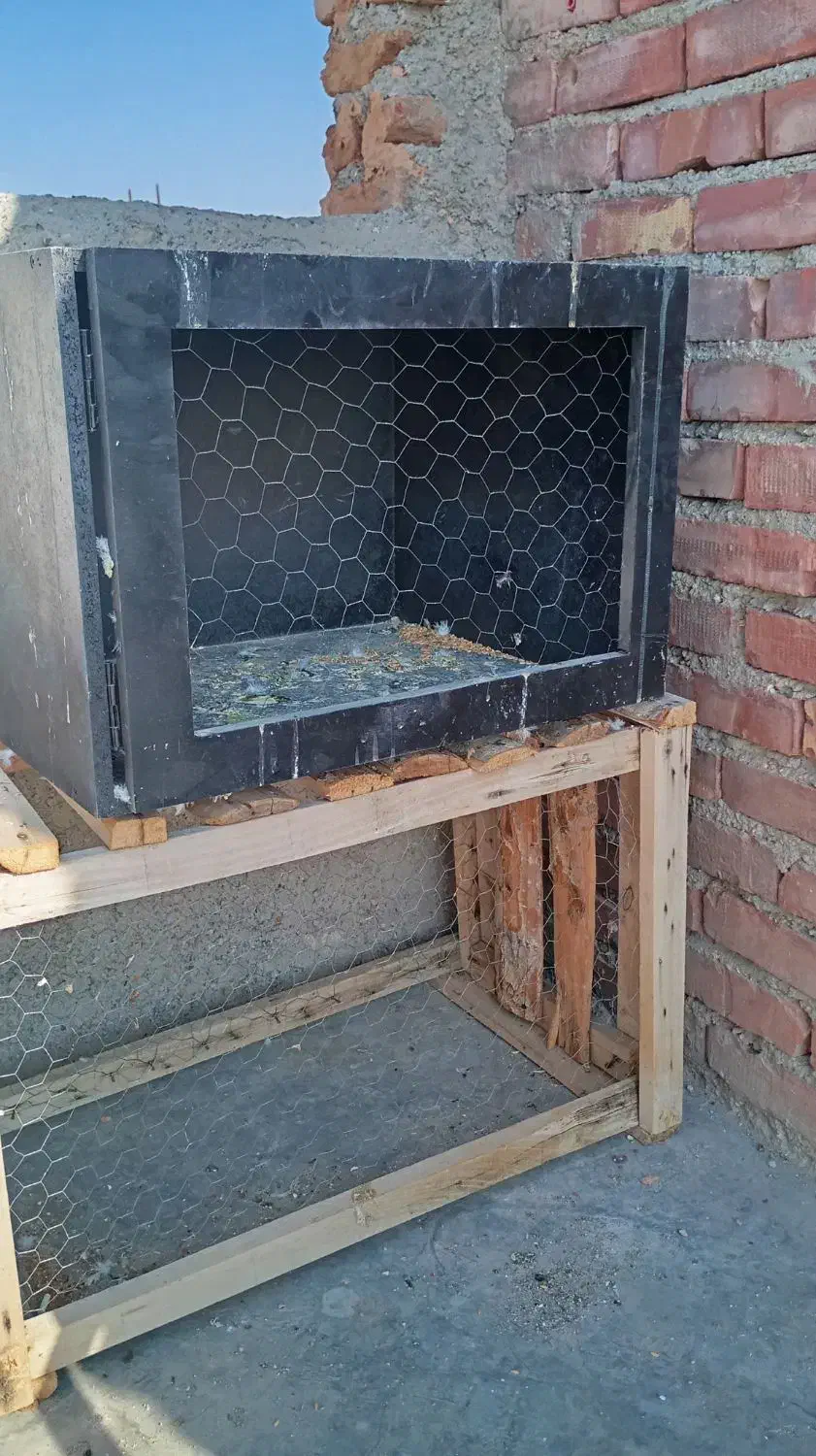 جفتگاه کبوتر|لوازم جانبی حیوانات|میاندوآب, |دیوار