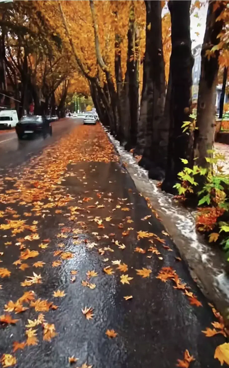 اجاره ویلایی راه جدا /خیابان تختی/|اجارهٔ خانه و ویلا|بروجرد, |دیوار