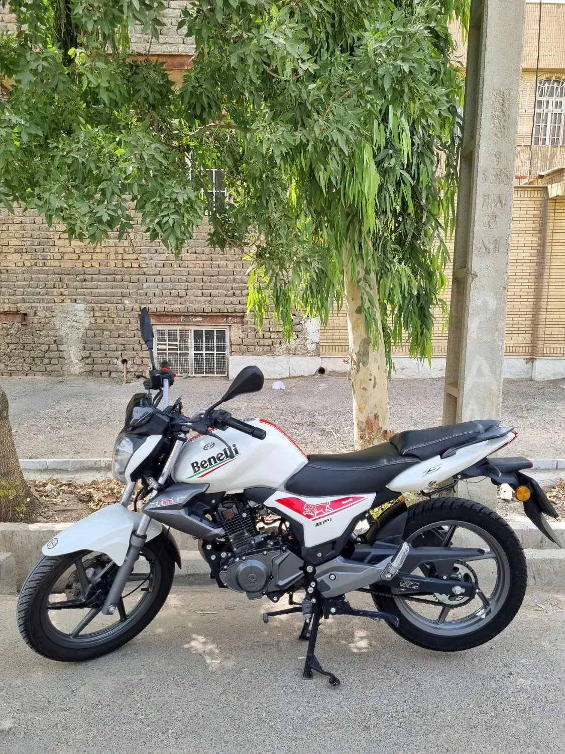 بنلی ۱۵۰|موتورسیکلت|قم, حنیف نژاد|دیوار