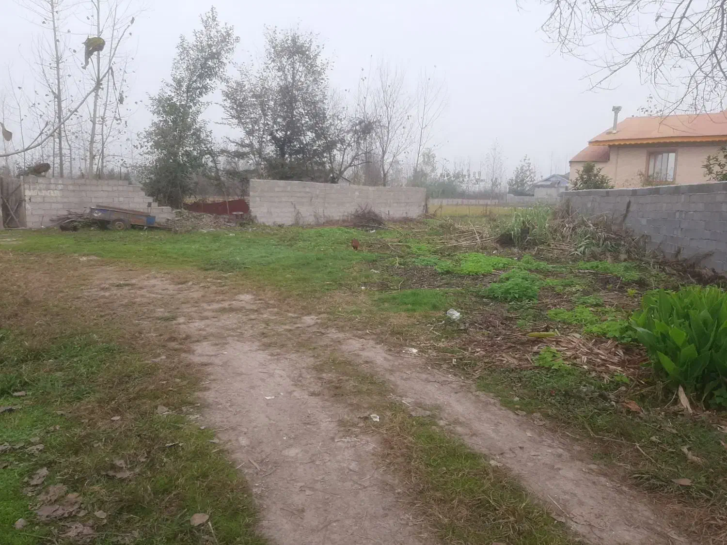 فروش زمین|فروش زمین و ملک کلنگی|رودبنه, |دیوار