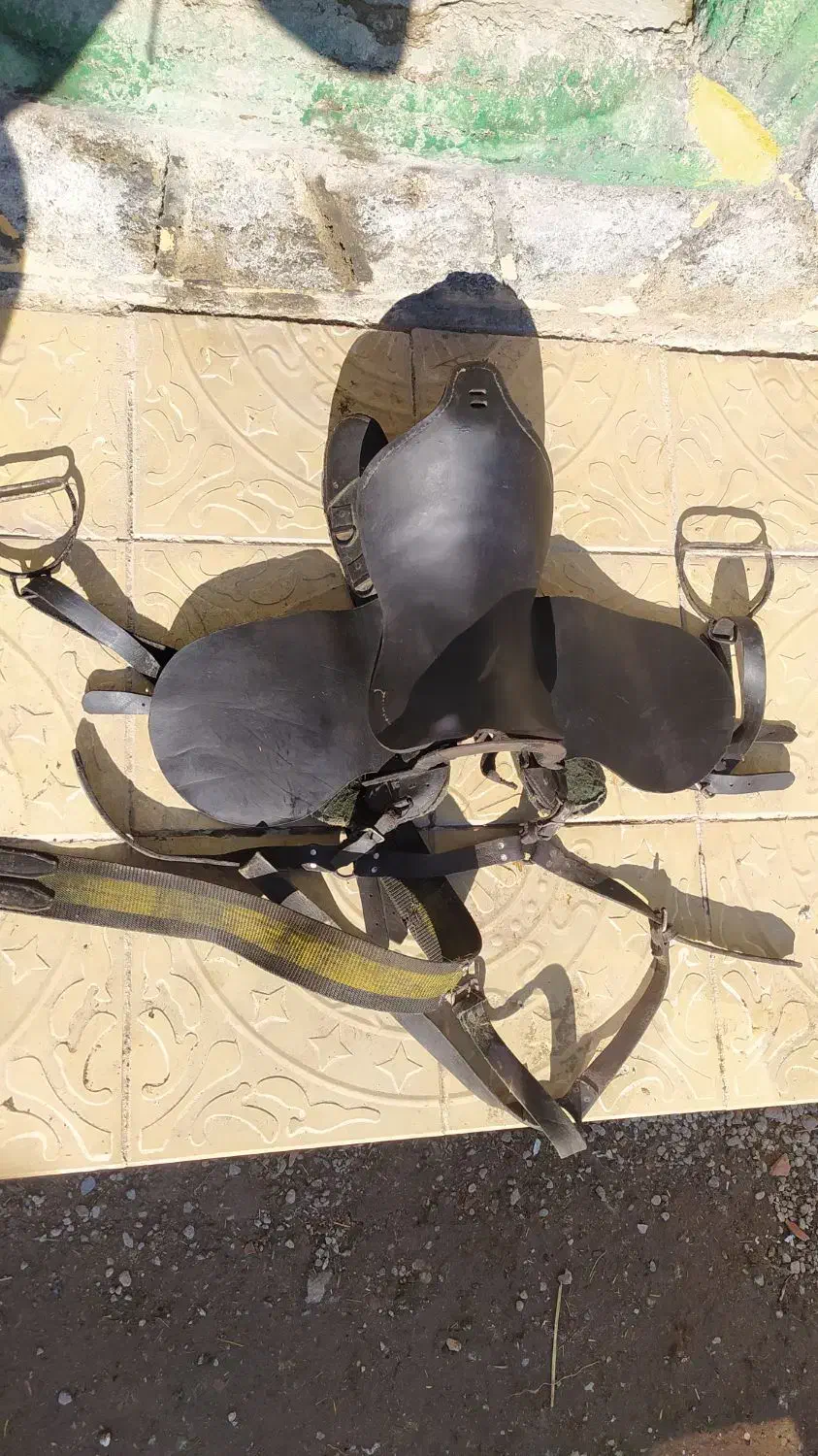 زین‌اسب|اسب و تجهیزات اسب‌سواری|اردبیل, |دیوار