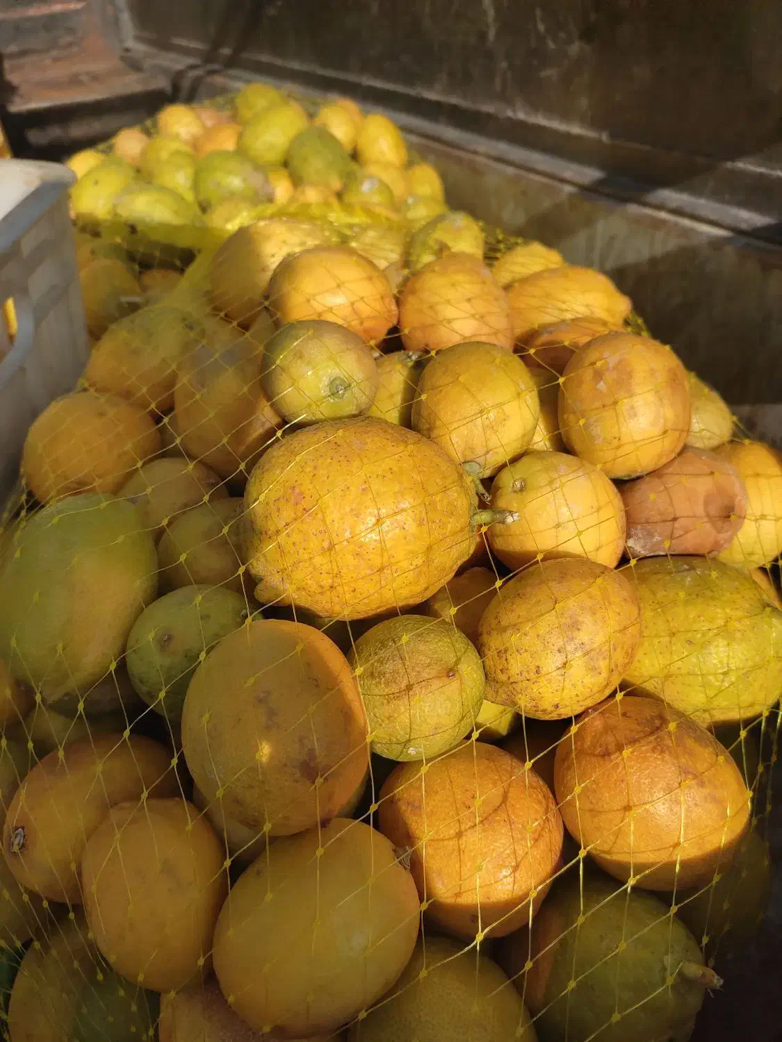 فروش لیموخاگی آبگیر|خوردنی و آشامیدنی|شیراز, بهارستان|دیوار