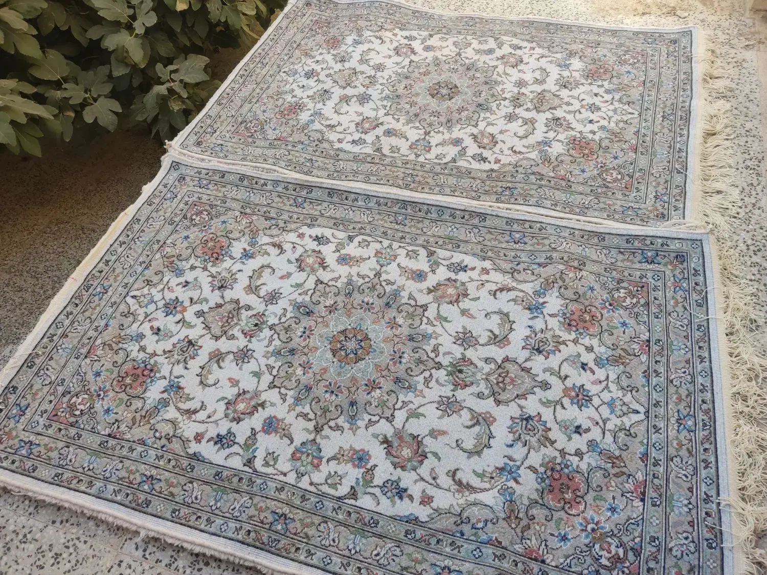 قالی دست باف|فرش|یزد, |دیوار